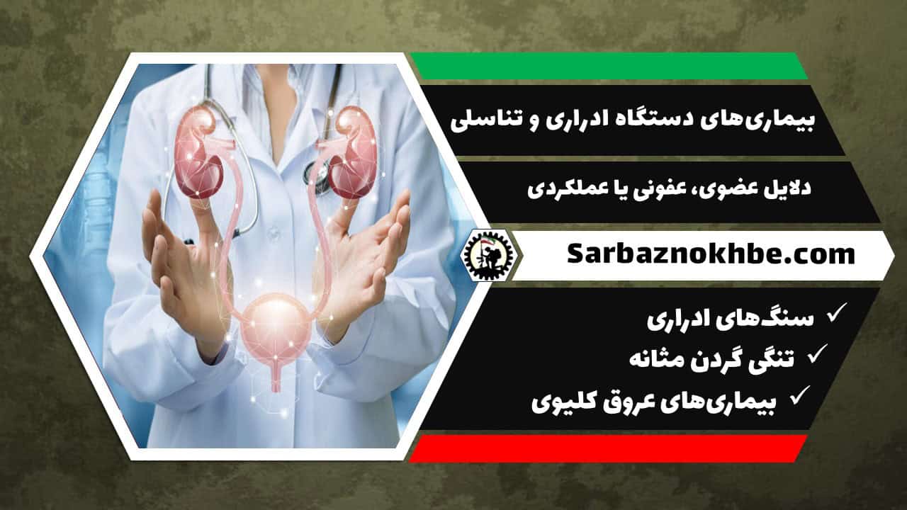 بیماری‌های دستگاه ادراری و تناسلی