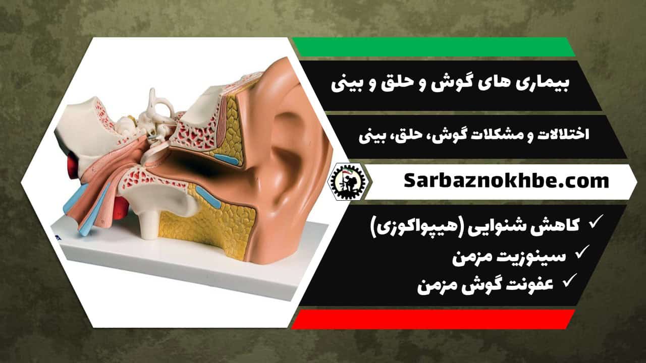 بیماری‌های گوش، حلق و بینی