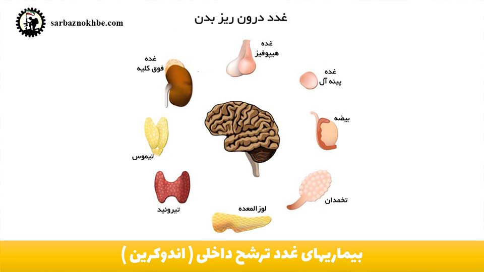 بیماریهای غدد ترشح داخلی(اندوکرین) + شرایط و مدارک مورد نیاز