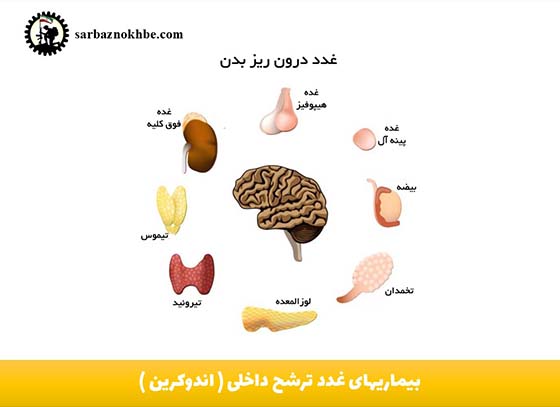بیماریهای-غدد-ترشح-داخلی